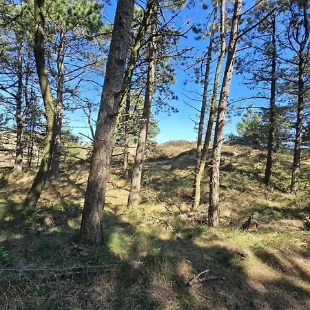 Дом отдыха 8 Person In Romo-by Traum
